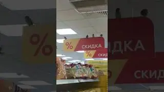#магия #магнит #застряли #воробьи #грязь #воркута #вашингтон #море
