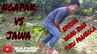 Wong edan tuku parabola#jawavsngapak