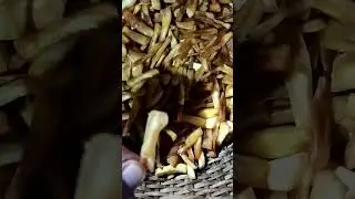 Jackfruit frying in Pure Coconut Oil