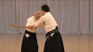 Hontai Yoshin Ryu