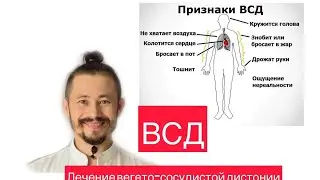 Что такое вегето-сосудистая дистония?/Как вылечить ВСД/Есть ли такой диагноз