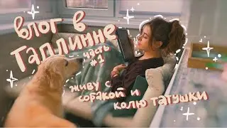 ВЛОГ: Живу неделю в Таллинне! Часть №1