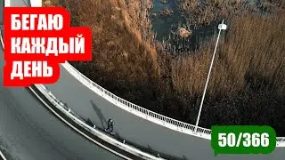 50 дней бега каждый день | Цель ГОД
