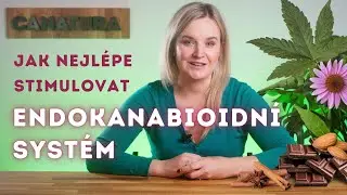 Endokanabinoidní systém: jak ho můžete stimulovat svépomoci?