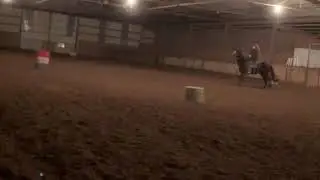 Ivy trotting pattern 11/17/20