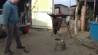 20111109102