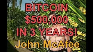 Bitcoin $500,000 in 3 Years says John McAfee