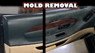 Aston Martin DB7 Mold Removal: Step-by-Step Restoration Guide