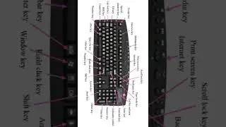 All Functions Of Keyboard Keys | KeyBoard Details 
