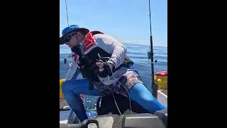 The Best Live Bait Rigging System: Baitmate
