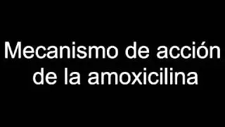 Mecanismo de accion de la amoxicilina