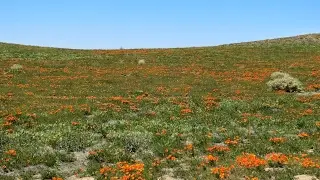 для тебя