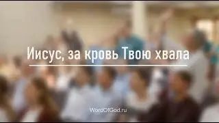 Иисус, за кровь Твою хвала