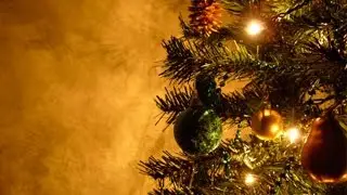 Сосна в дом к новому году большая і малинькая