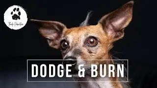 Komplette Retusche - Augen bearbeiten, Dodge & Burn - Photoshop