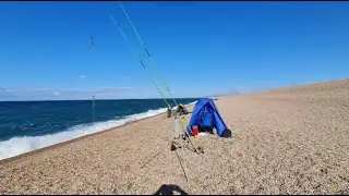 First time fishing Chesil Beach Fleetsbridge