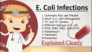 E.  Coli Basics - Outbreaks, Diseases, Symptoms, Transmission, Treat, Prevent | Clinical Medicine