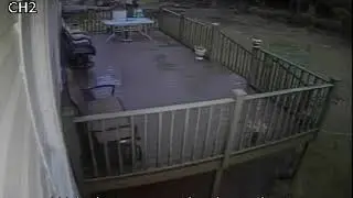 Surveillance Cameras Compassion Tests   Dawn Time 2