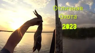 ОТЛИЧНАЯ ОХОТА  С ЧУЧЕЛАМИ И МАХОКРЫЛАМИ НА УТКУ  АТА АРМС НЕО 12. 2023. hunting  АТА НЕО 12