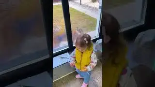 Каракал Денди охотится на дочку 🙀