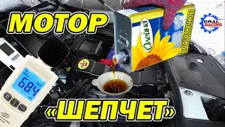 Шум Двигателя на Отработке и на Свежем Моторном Масле