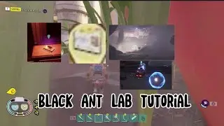Grounded Black Ant Lab Tutorial