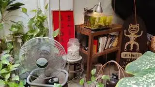 Locahouz - Cozy cafe in Melaka, Malaysia Old Heritage Shophouse