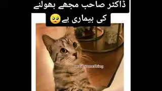 Funny 🤣🤣🤣