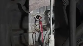 Block Drain Locations on Toyota 1GR V6 4.0L #techtips #DIYtips #automotiveDIY #DIY