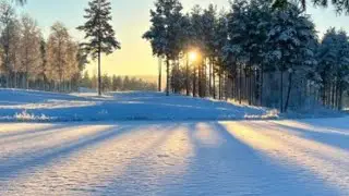 a trip in the forest 🌳 #snow #sunny #explore #winter
