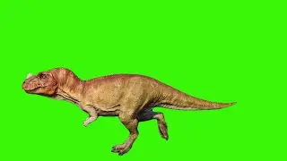 GREEN SCREEN EFFECTS|tyrannosaurus rex 