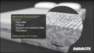 Mammoth Performance 240 Regular Mattress