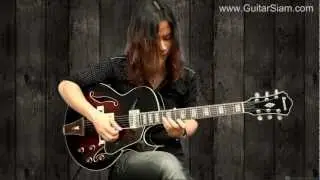 Ibanez AK95-DVS @ GuitarSiam.com