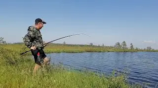 таёжное озеро с кристально чистой водой/ловим окунь/ окунь гнёт удочку