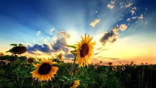Rain Man And Vikki Gilmore - Take It Closer