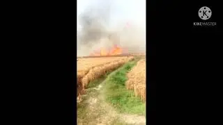 Fire in village fields full veiw