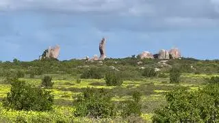 Flowers on the West coast   HD 1080p