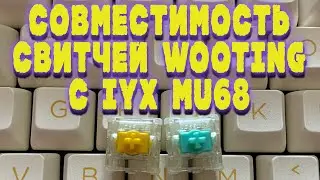 СВИТЧИ LEKKER ОТ WOOTING НА IYX MU68 | ТЕСТ НА СОВМЕСТИМОСТЬ