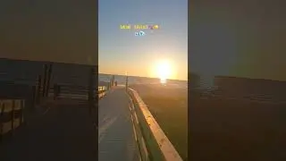 Моя новая жизнь в США.