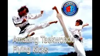 👊Amazing Taekwondo Flying  Kicks