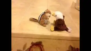 The Animal Wedding