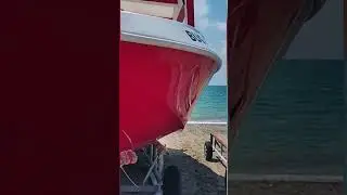 Друзья с Турецких пляжей😎🤟