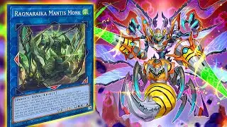 BEETROOPER DECK RAGNARAIKA SUPPORT -  YUGIOH BUDGET DECK