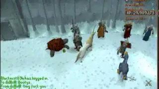 runescape glitch 15/3/11 - row glitch