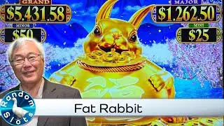 Stuffed Coins Rabbit Slot Machine Bonus