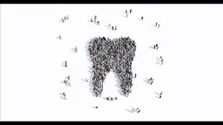 MicroCT for Dental Applications - The Root Canal Anatomy Project Part 1 (Preclinical Imaging)