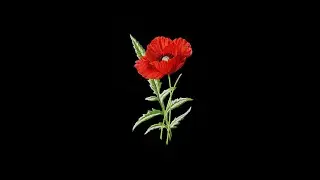 [FREE] Phora Type Beat 2021 