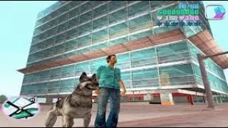 مود الكلب في لعبة gta vice cityالشهيرة ب جتا 7مود روعة لعام 2021