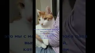 это чей ребенок? наш #кот #юмор