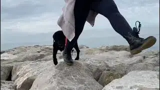 Koby By Marina Lab, attivo nella Croce Rossa Italiana